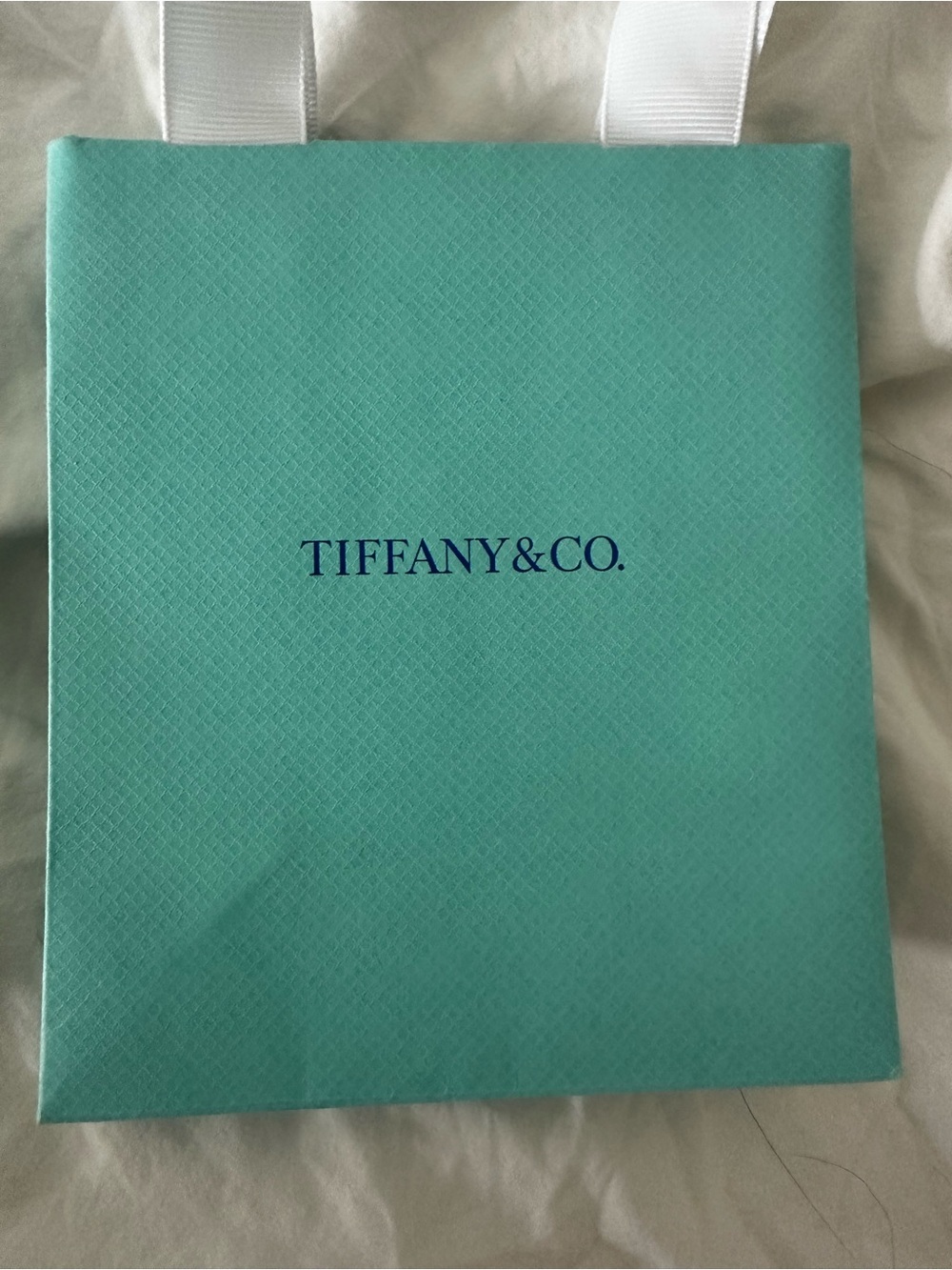 Tiffany & Co. Robin's Egg Blue Gift Bags with White Handles (Set of 4) - Picture 4 of 5